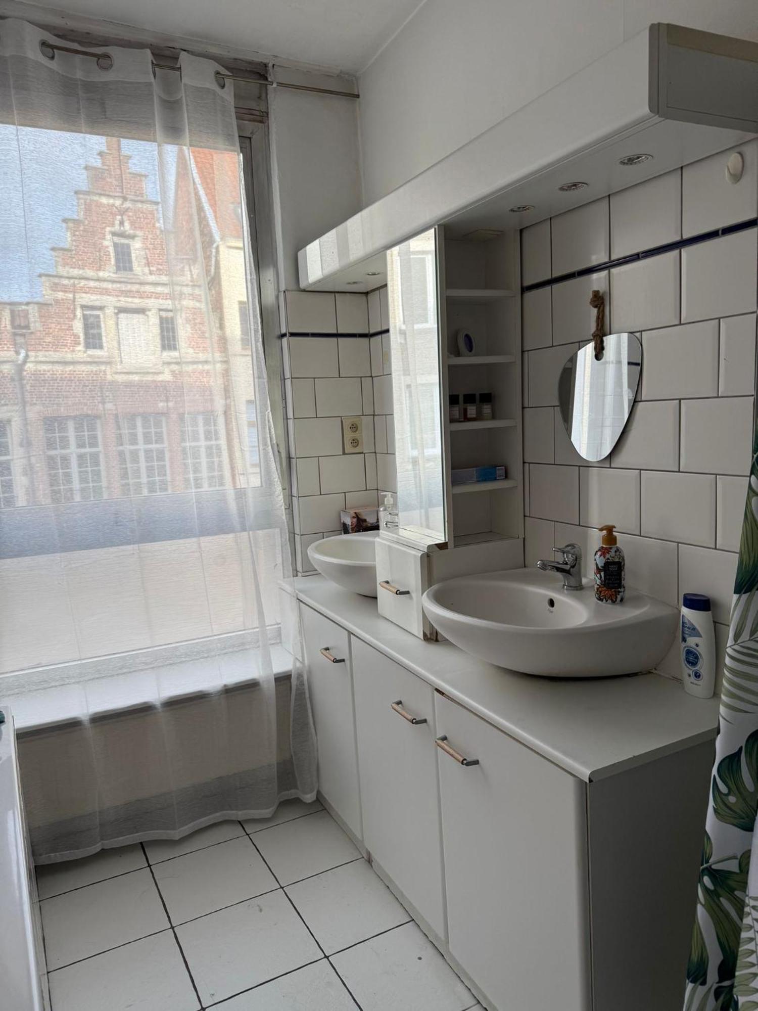 Accommodatie bij particulieren Cathedral Rooftop - City Centre Antwerpen